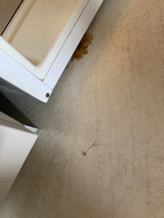 Zimmer Aparthotel Fontanellas Playa