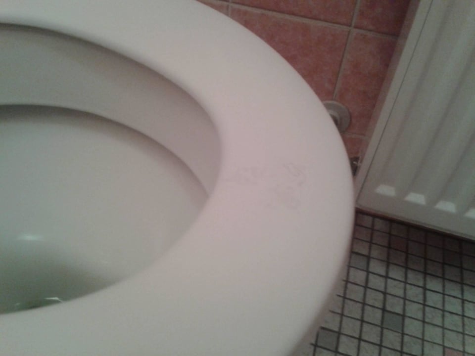 Der dunkle Fleck klebte Landhotel Maiergschwendt