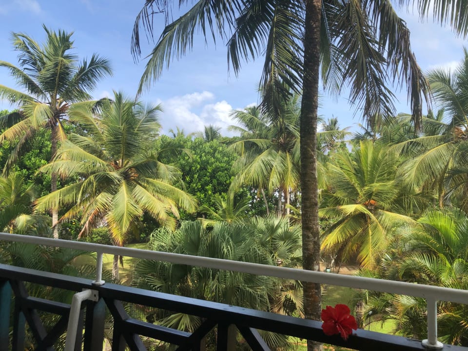 Ausblick Hotel Lanka Princess Ayurveda