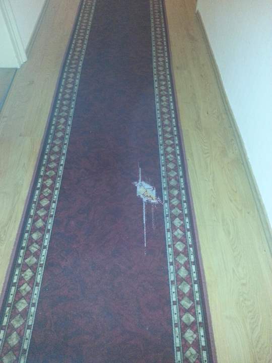 Teppich im Flur Hotel Goldener Hirsch