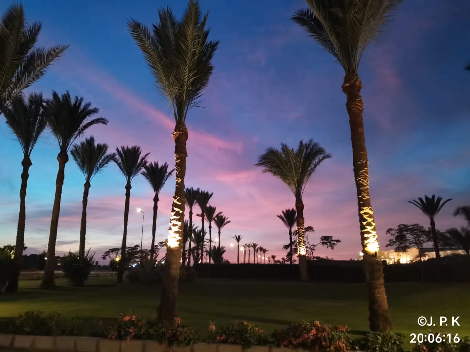 Pool Steigenberger Resort Alaya Marsa Alam - Red Sea - Adults only