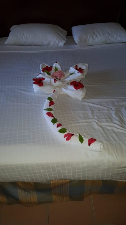 Blume Stella Beach Resort & Spa Makadi Bay