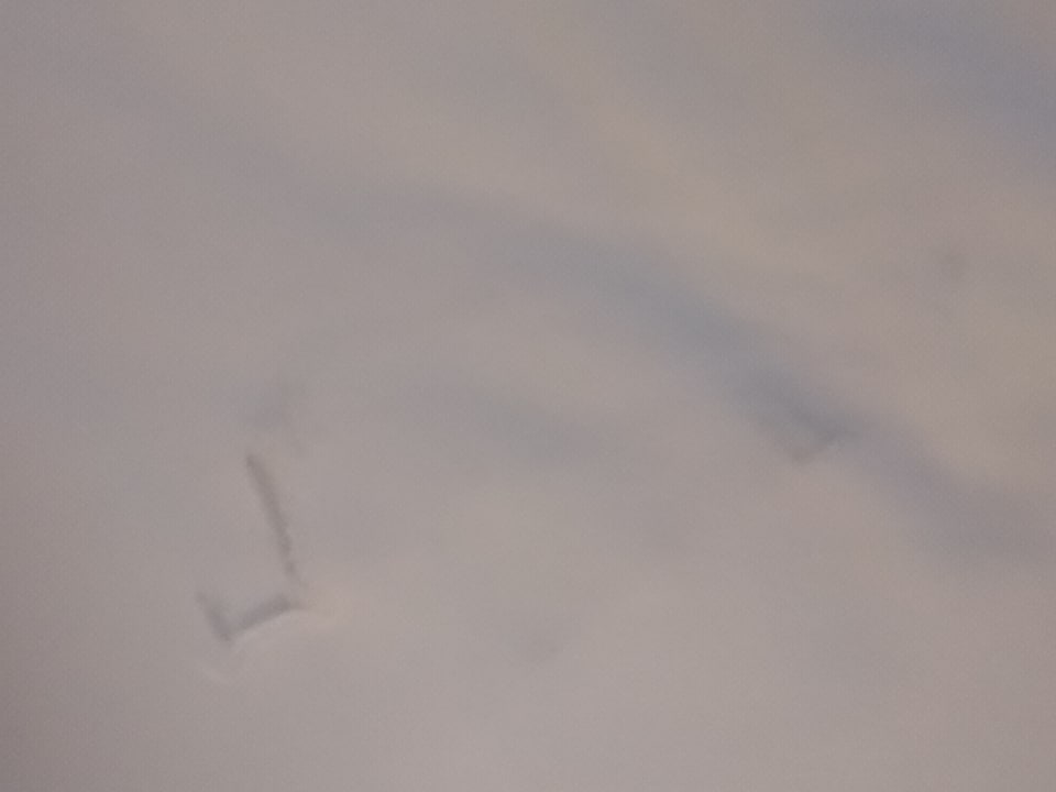 Zimmer Sherwood Exclusive Lara