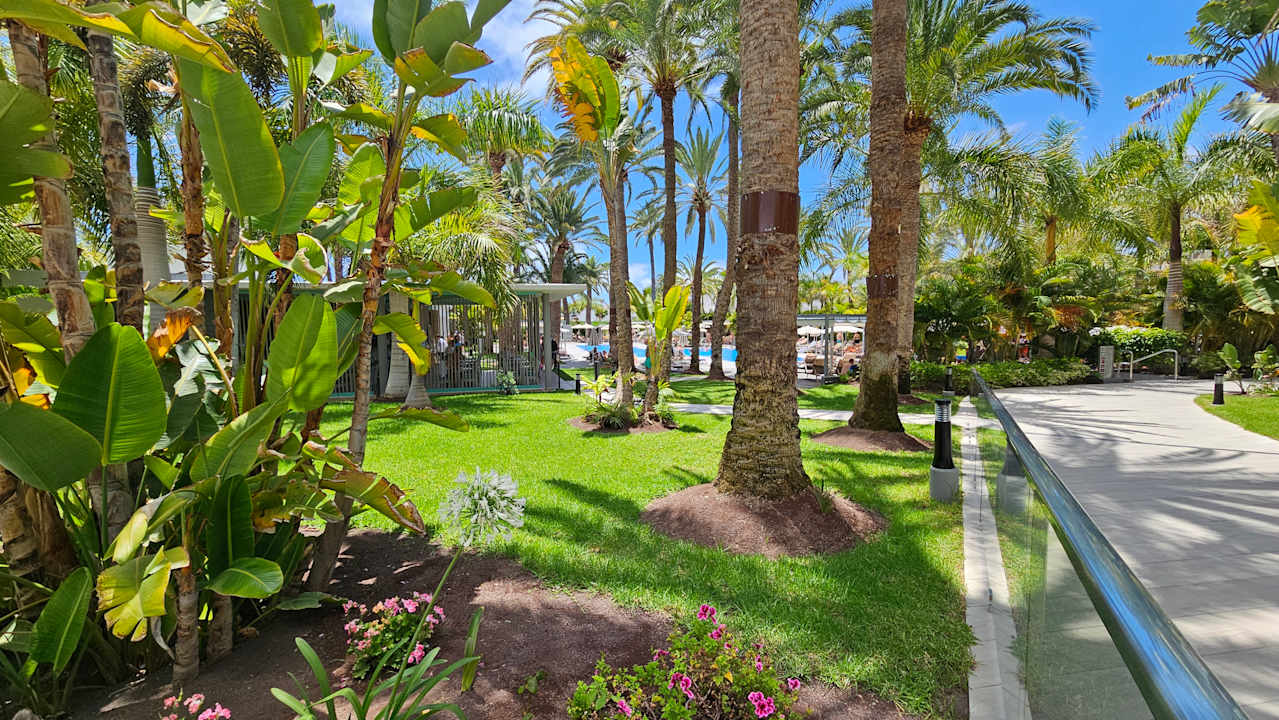 Gartenanlage Hotel Riu Palace Palmeras