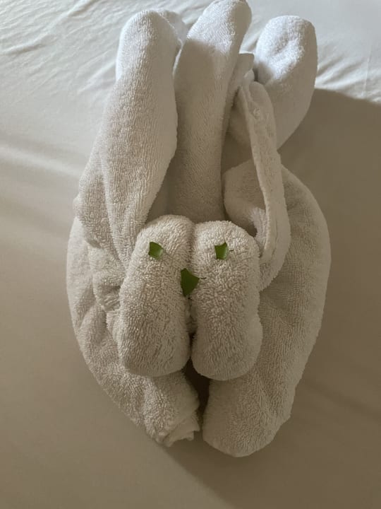 Zimmer Shams Alam Beach Resort