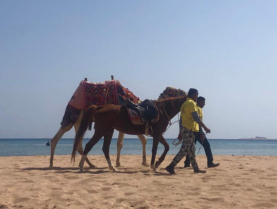 Strand Shams Safaga Resort