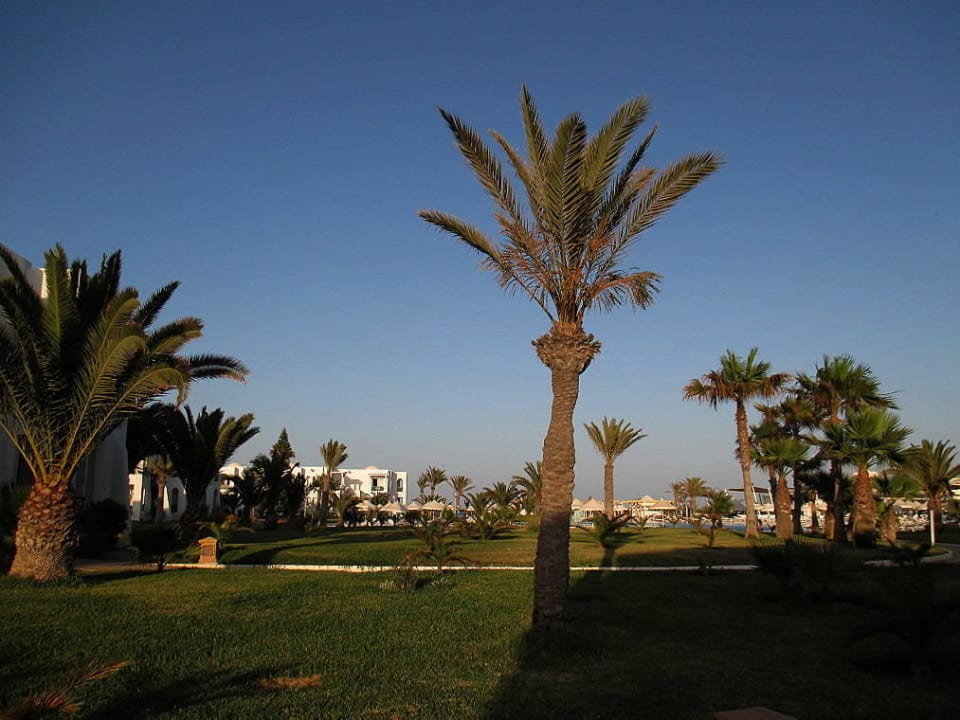 Gepflegte Anlage Vincci Helios Beach