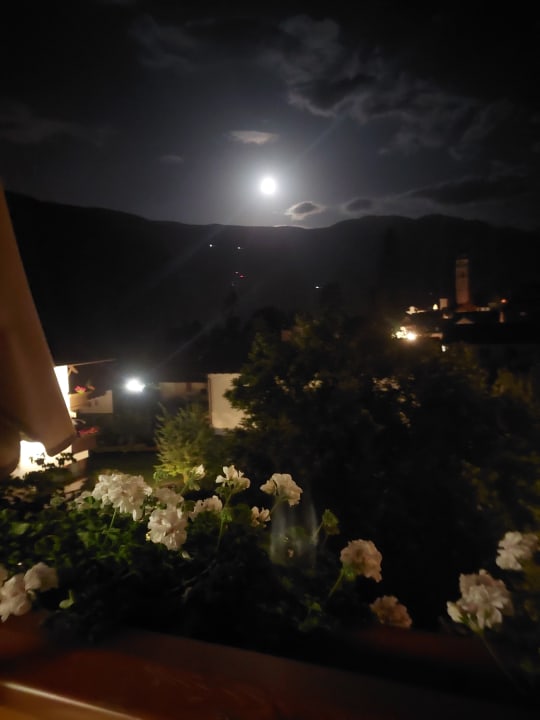 Zimmer Appartementhotel Siegi