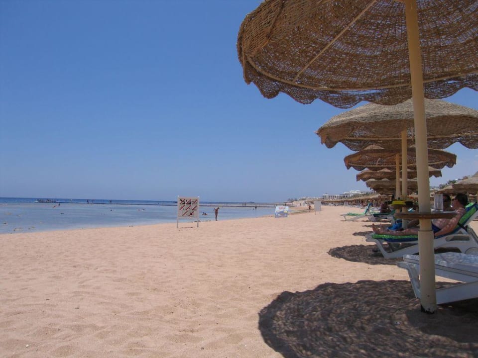 Hotelowa plaża Hotel Baron Palms Sharm El Sheikh