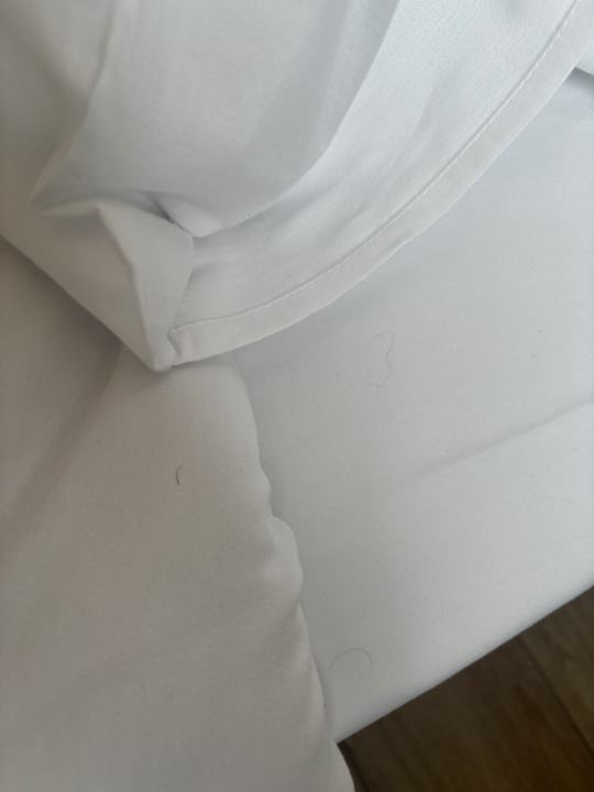 Zimmer Gleam Bomonti Hotel