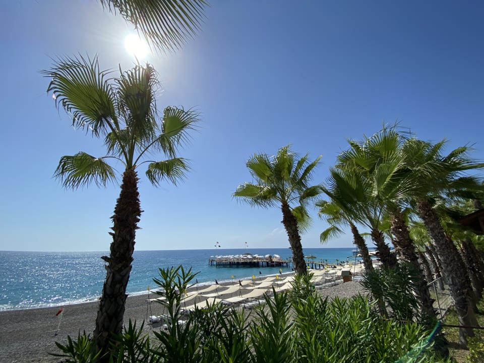 Ausblick Hotel Botanik Platinum