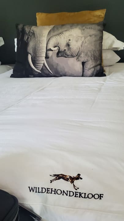 Zimmer Wildehondekloof Game Lodge