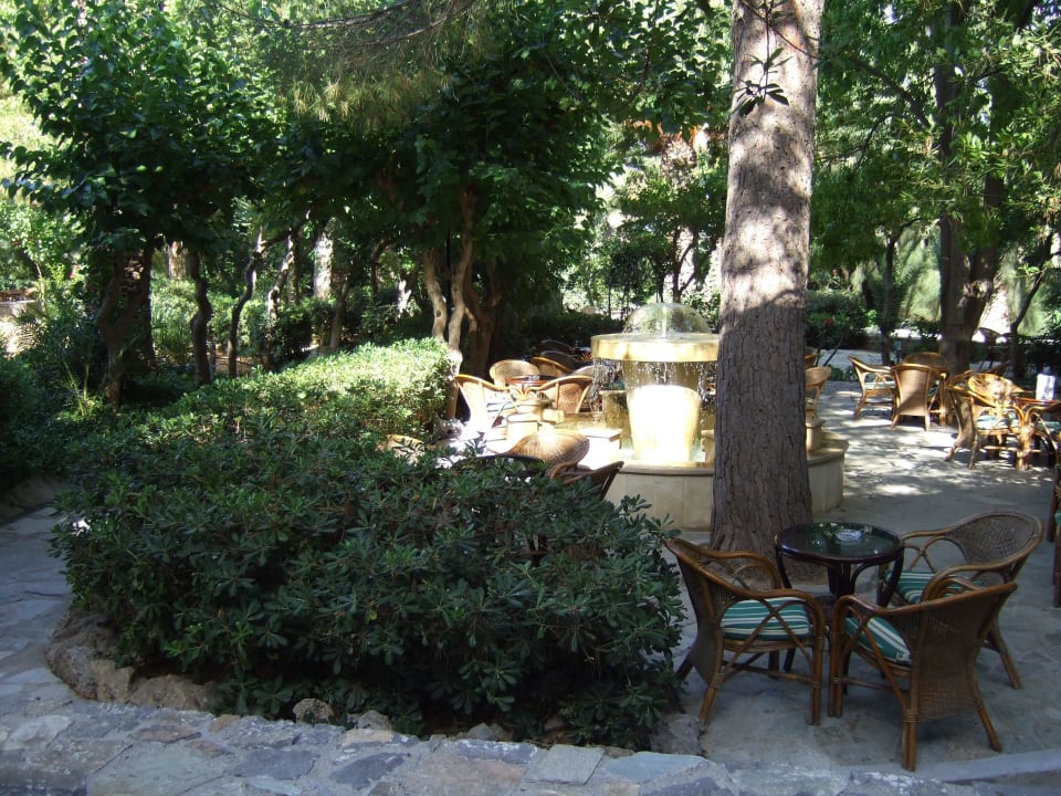 Gartenanlage & Lobbybar Apollonia Beach Resort & Spa