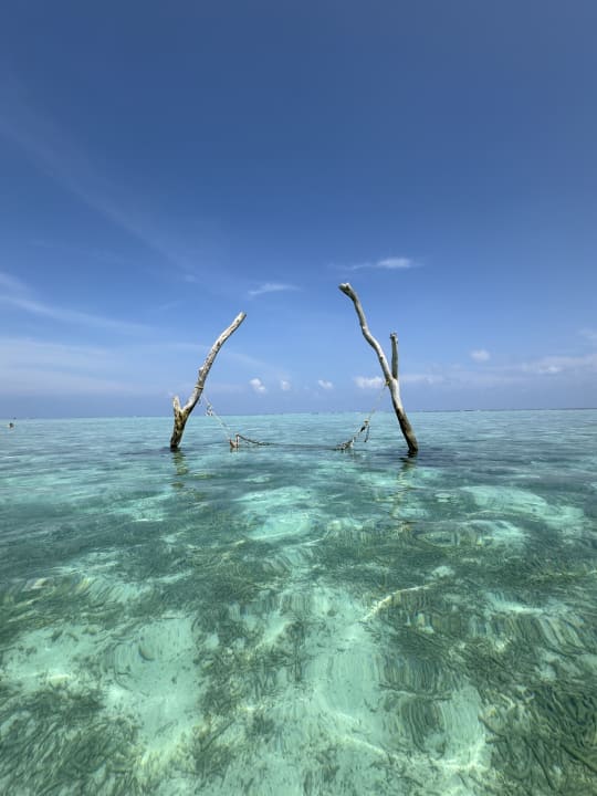 Strand Summer Island Maldives