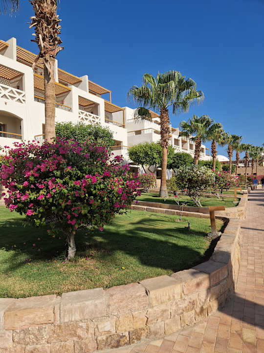 Gartenanlage Fort Arabesque Resort, Spa & Villas