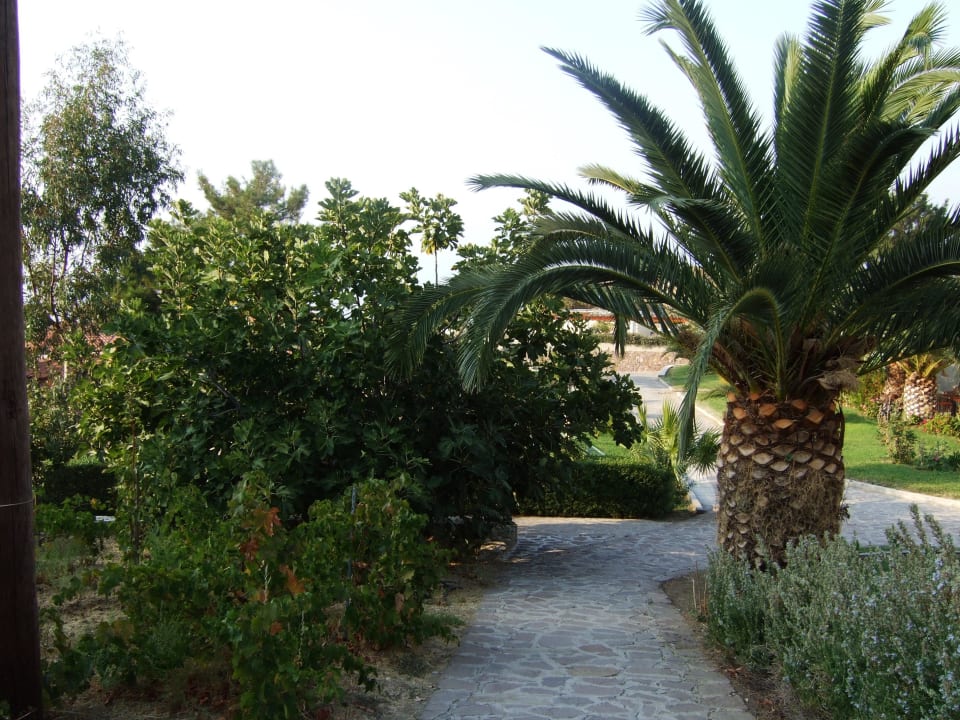 Gartenweg Hotel Alma Beach