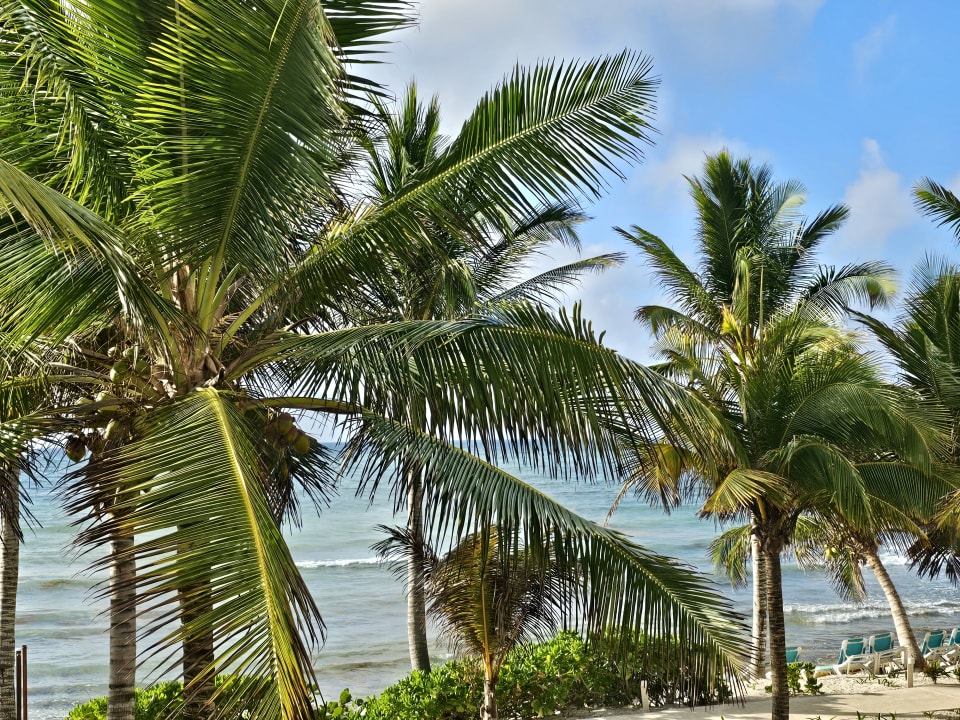 Strand Akumal Bay Beach & Wellness Resort