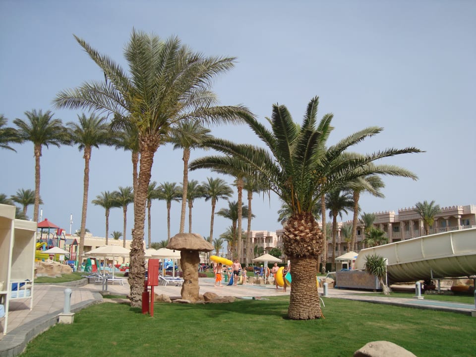 Pool Beach Albatros Resort