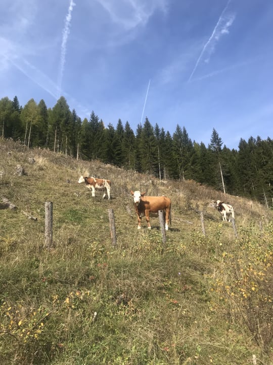 Sonstiges Wellnesshotel Eggerwirt