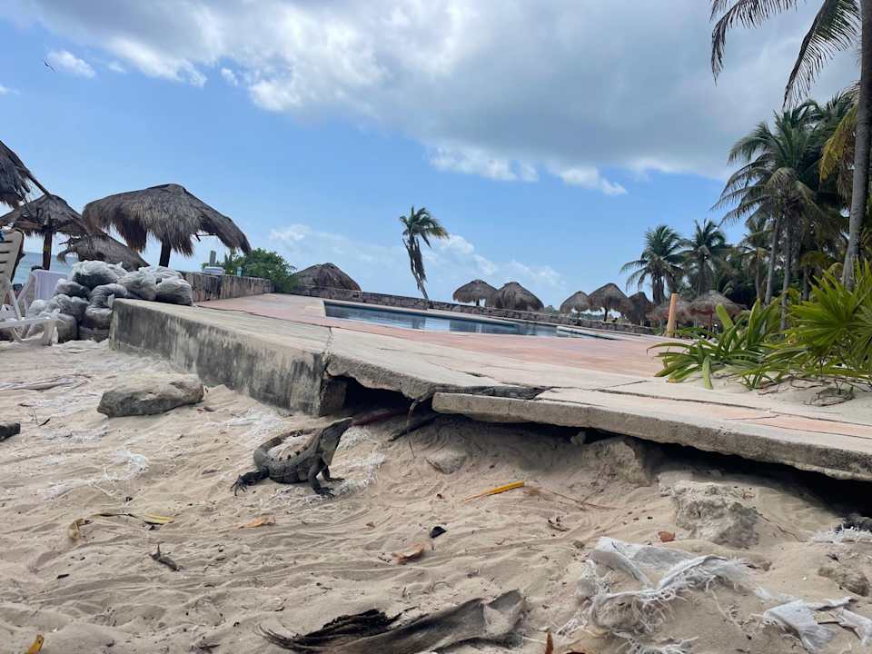 Pool Grand Oasis Tulum Riviera - All Inclusive