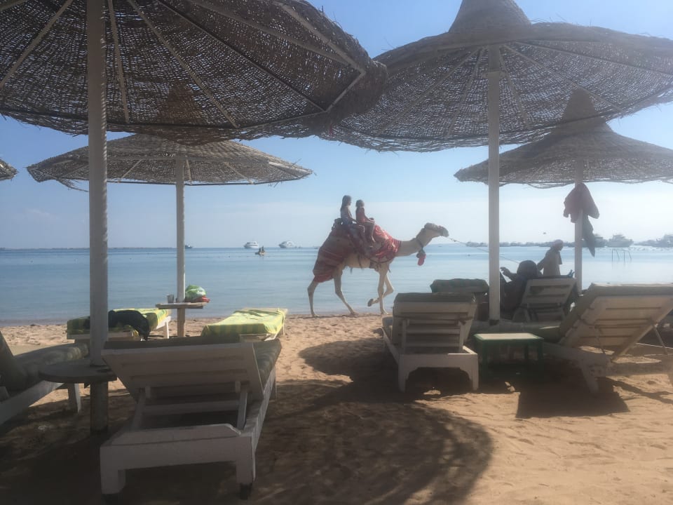 Strand Giftun Azur Resort