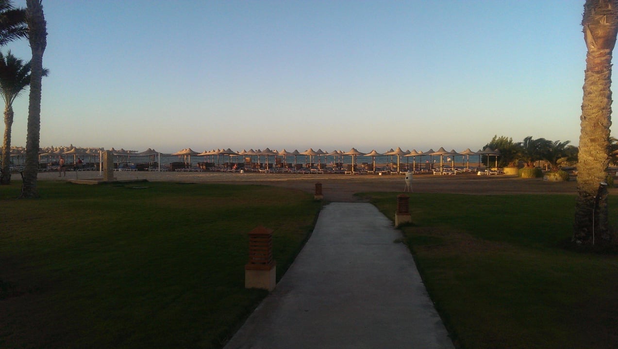 Lovely trees on the walkways down to the beach Stella Beach Resort & Spa Makadi Bay