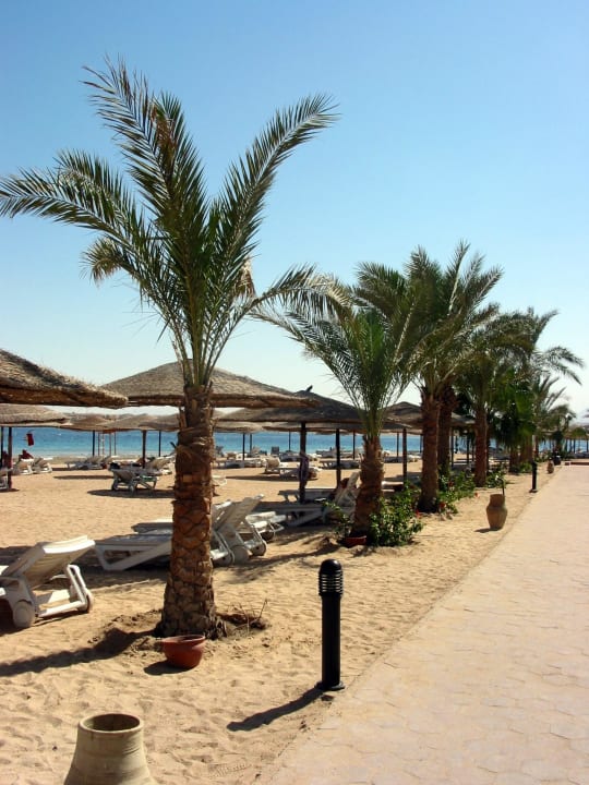 Hotel Fort Arabesque Fort Arabesque Resort, Spa & Villas