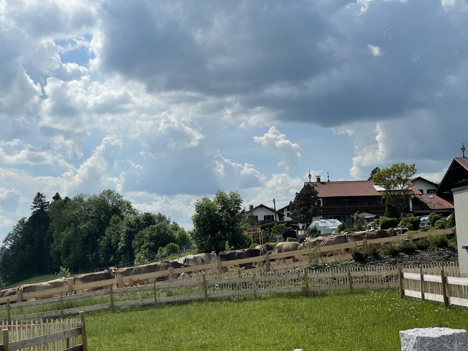 Ausblick PANORAMA Allgäu-Spa-Resort