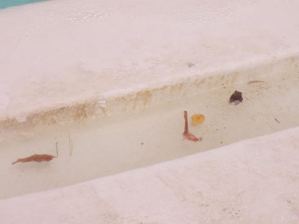 Pool SBH Fuerteventura Playa