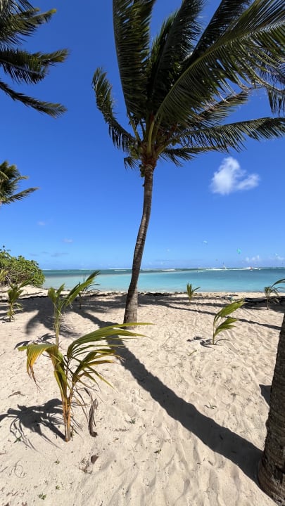 Strand Hotel Riu Palace Mauritius