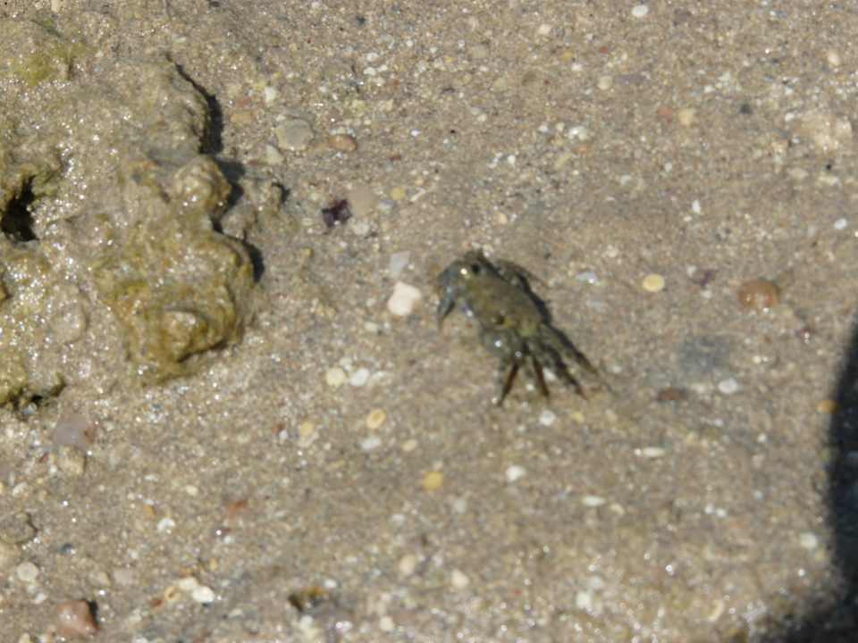 Krebs Titanic Beach Spa & Aqua Park