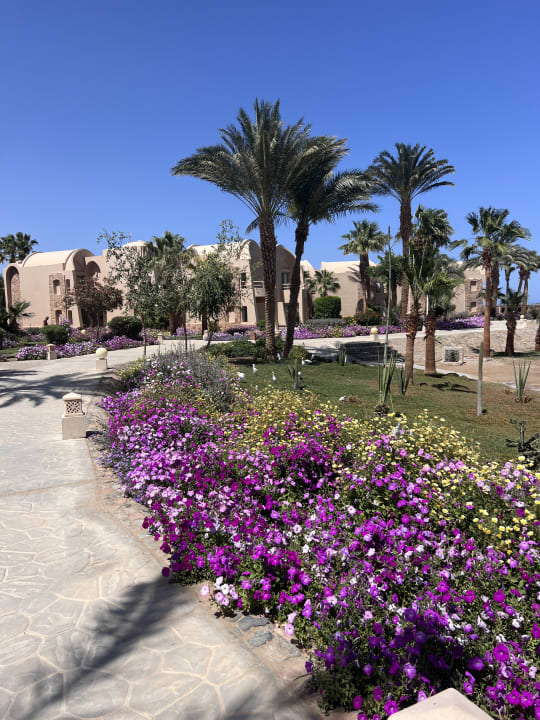 Gartenanlage Shams Alam Beach Resort