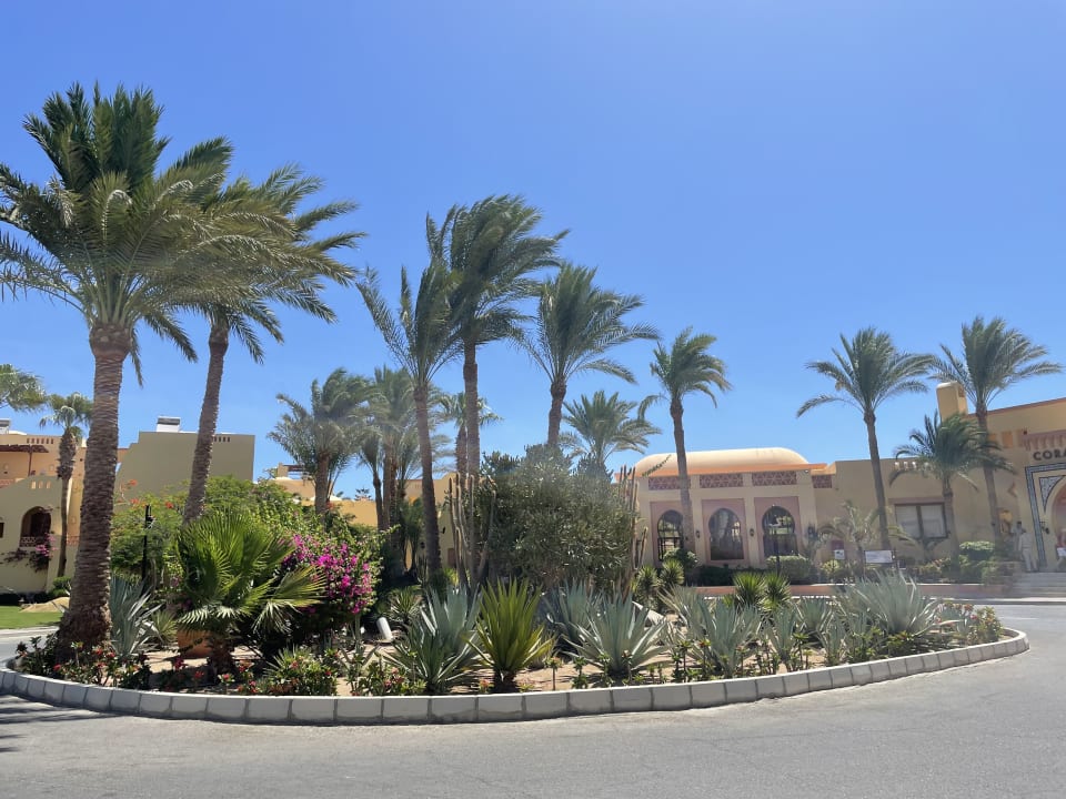 Gartenanlage Steigenberger Coraya Beach - Adults only