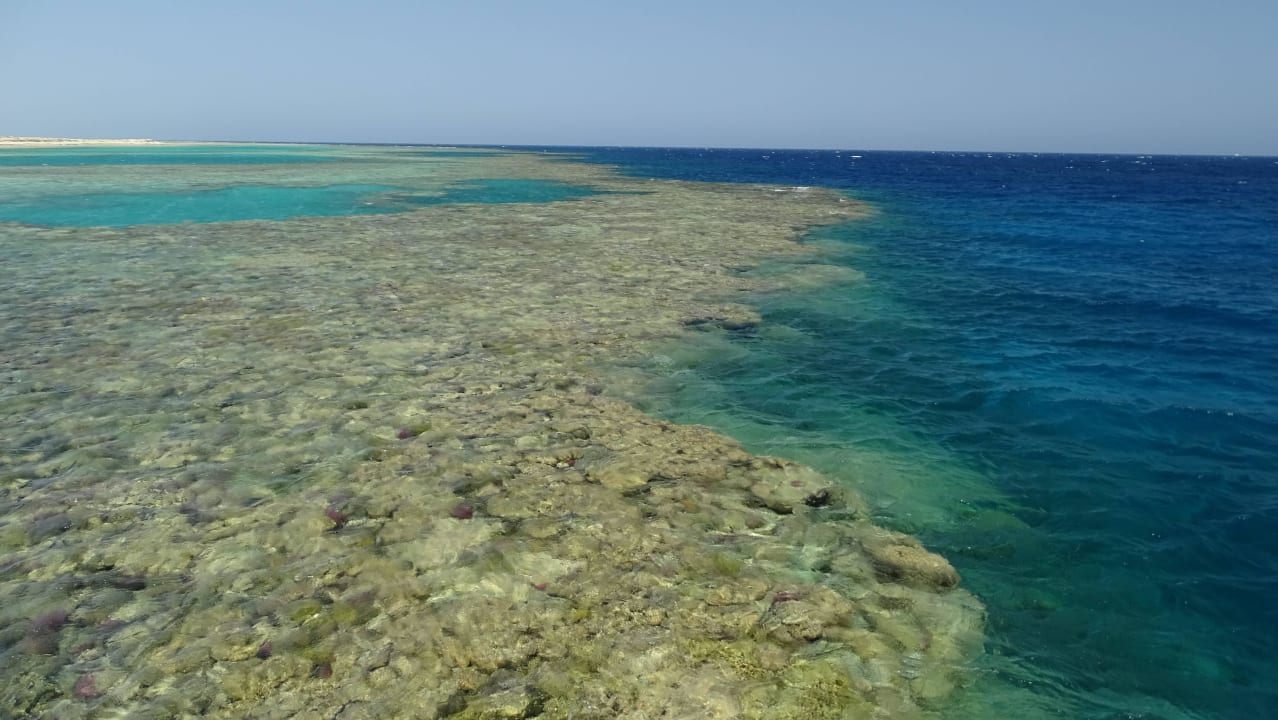 Aussenriff vom Steg N Hotel Gorgonia Beach Resort