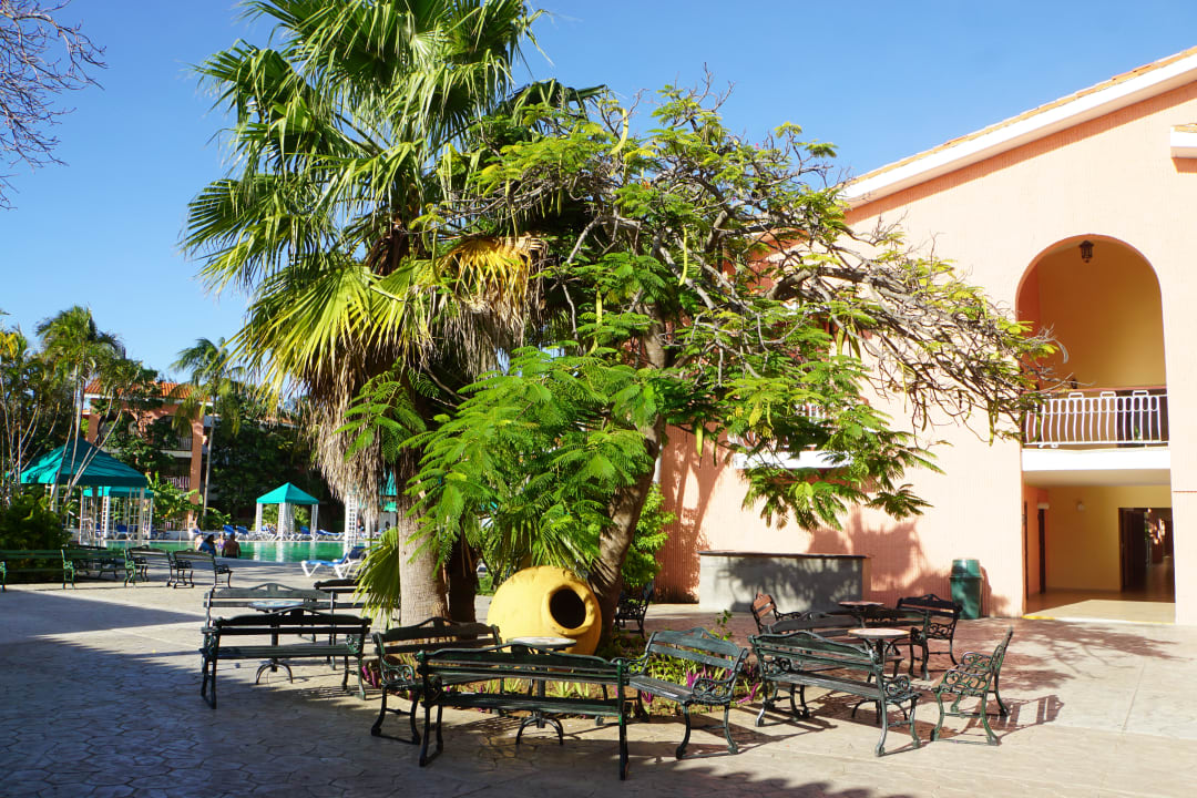 Lobby Hotel Roc Barlovento