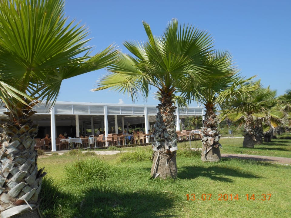 Snackbar Hotel Süral Resort