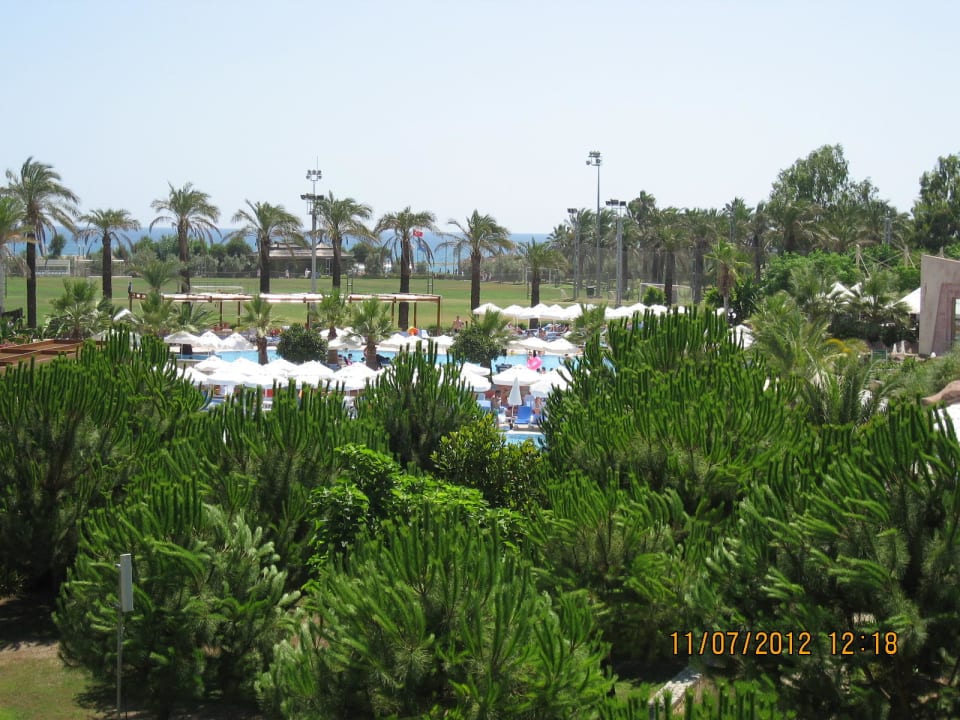 Вид из номера на море Blue Waters Club