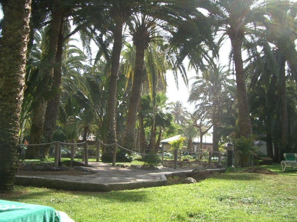 Der ausgesprochen schöne Park Hotel Riu Palace Oasis