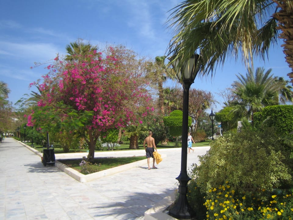Gartenanlage The Grand Hotel Hurghada