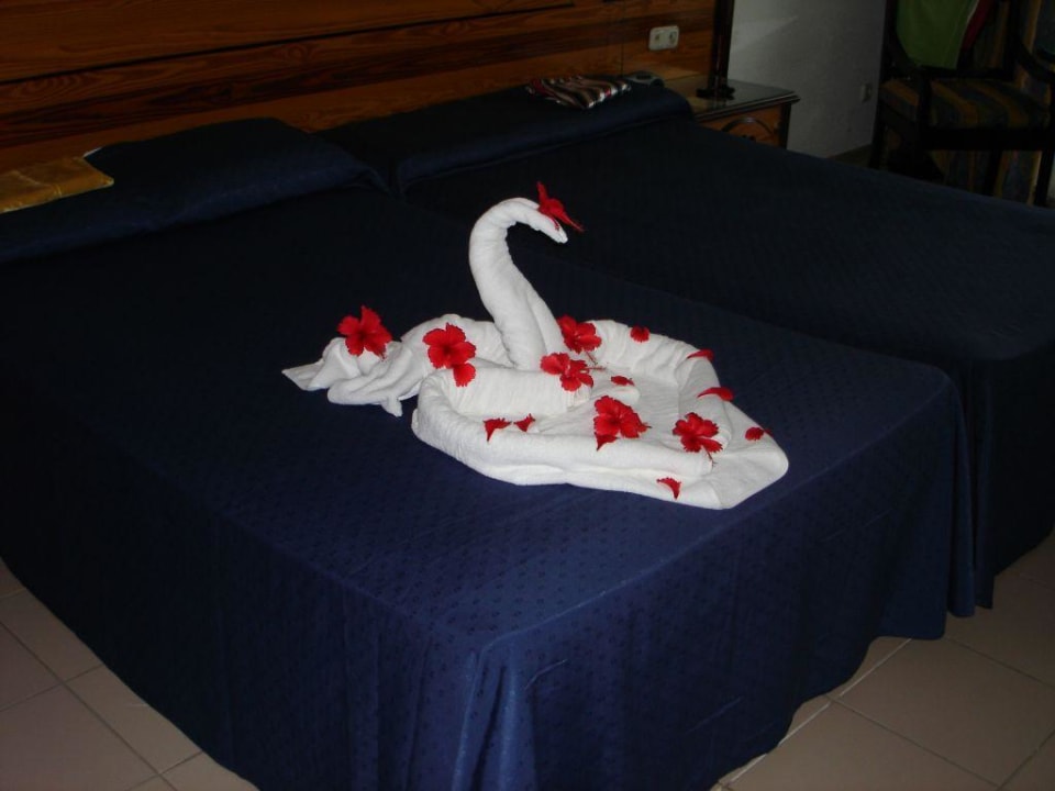 Maimon, RIU Mambo Playabachata Hotel