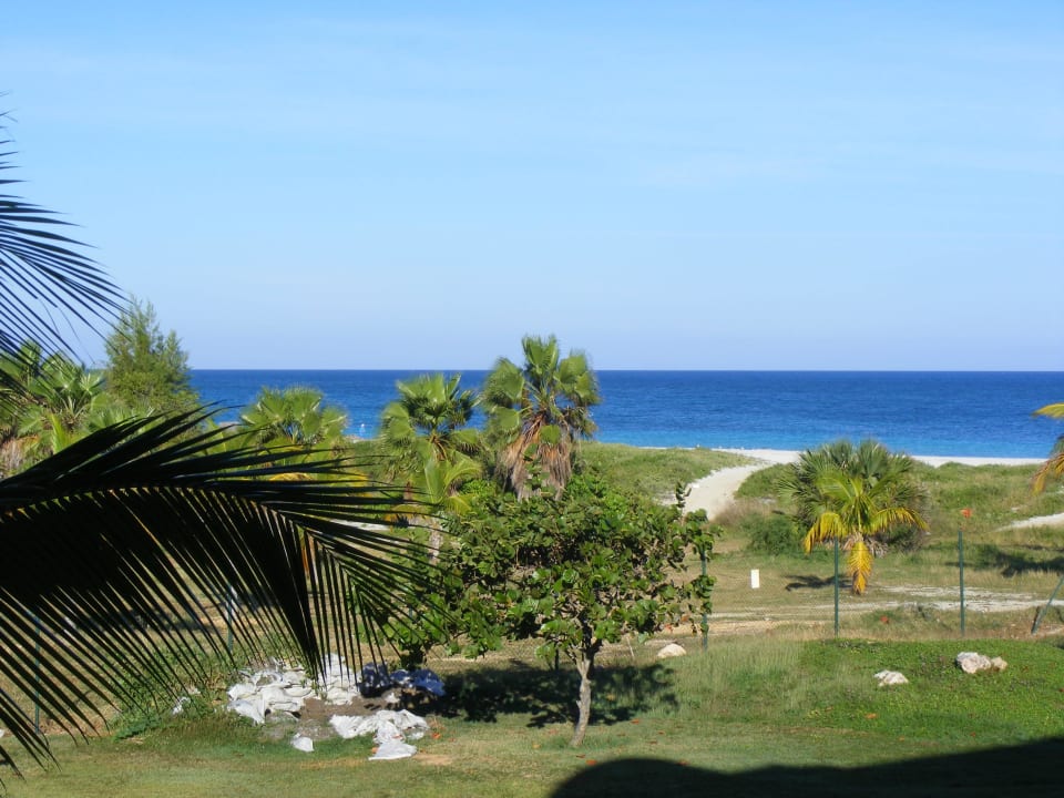 Der Hotel-Strand, sehr angenehm Iberostar Origin Laguna Azul