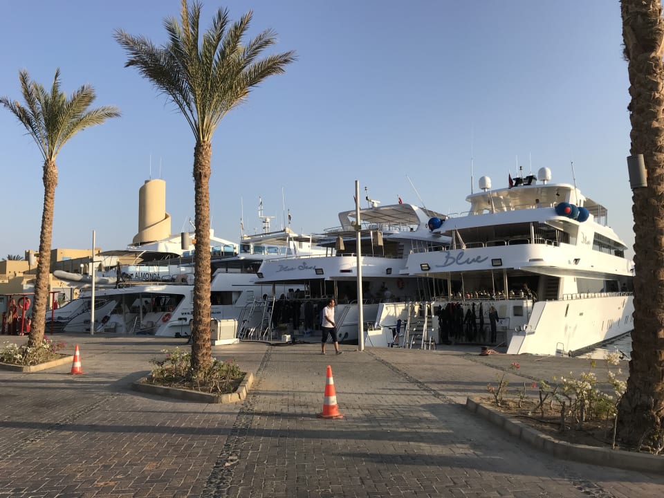 Sonstiges Marina Resort Port Ghalib, a member of Radisson Individuals