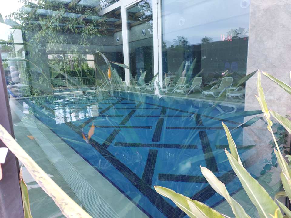 Pool Sentido Trendy Verbena Beach