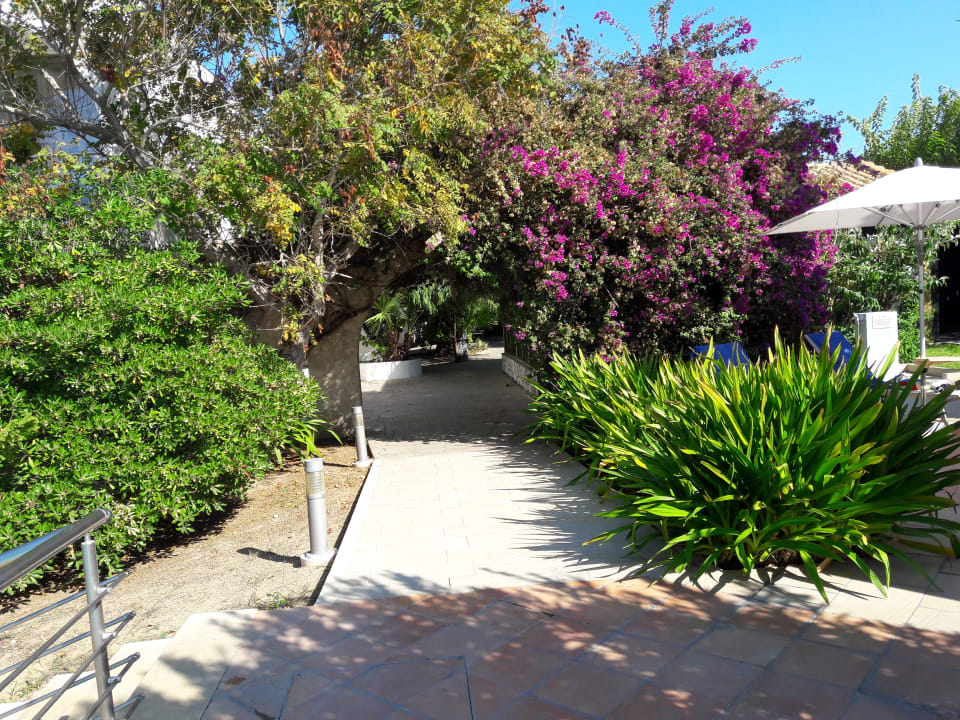 Außenansicht Caravia Beach Hotel