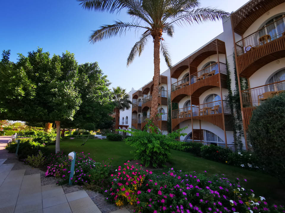 Außenansicht Desert Rose