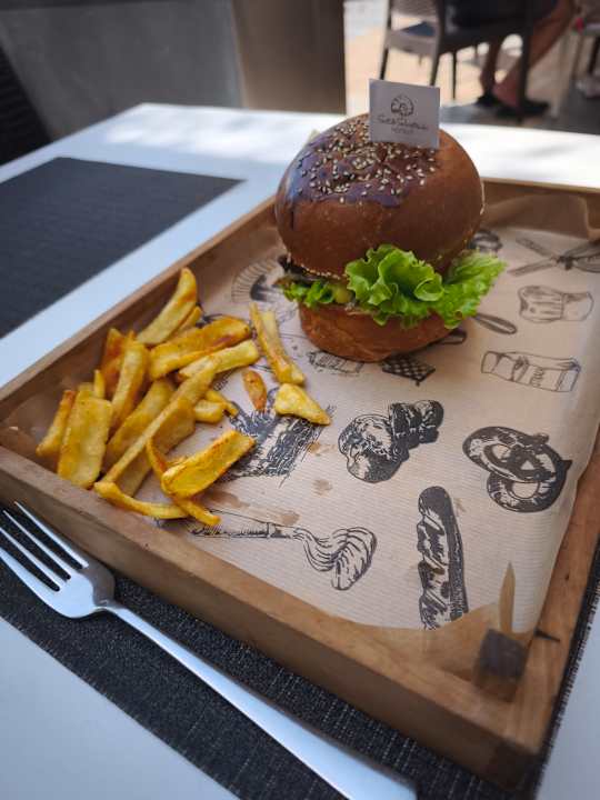 Gastro Seashell Vega