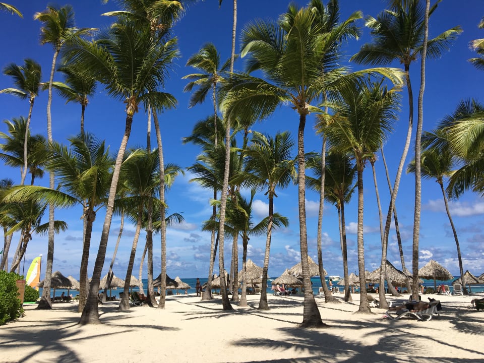 Strand Meliá Punta Cana Beach Resort - A Wellness Inclusive For Adults Only