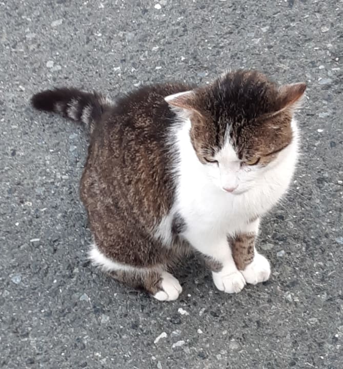 Sonstiges RETTER Bio-Natur-Resort