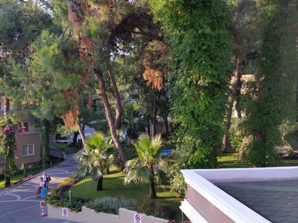 Gartenanlage Club Sidelya Hotel