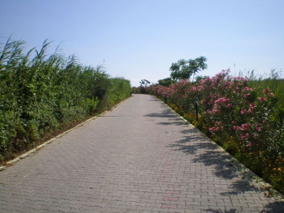 Weg zum Strand Crystal Paraiso Aqua Collection